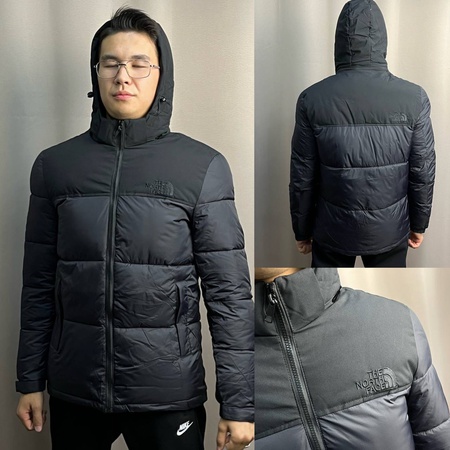 The North Face erkek ceketi