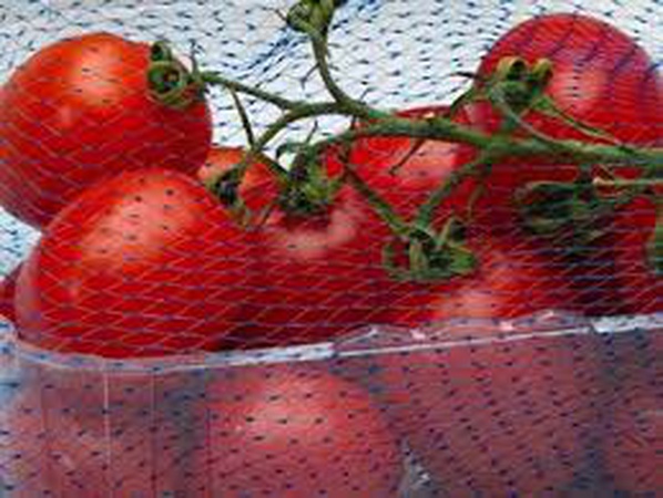 Sebze ve meyveleri paketlemek için ekstrüzyon ağ kılıfı