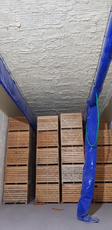 Patates, soğan, elma, havuç.