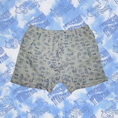 Трусы мужские 02-12004