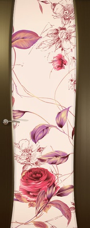 Буревестник-2 "Наоми", венге