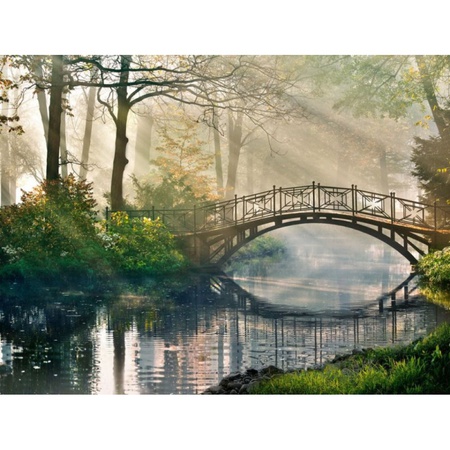 ضباب الصباح / 3 خطوط