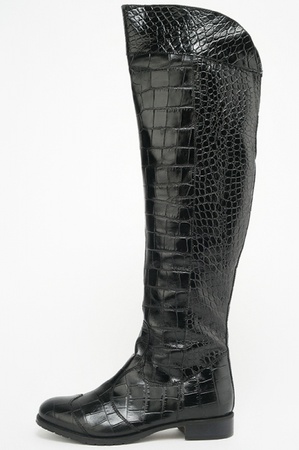 Schwarze Stiefel unter dem Krokodil (Eurozima) s111