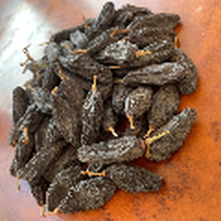 Her türlü yükseliş