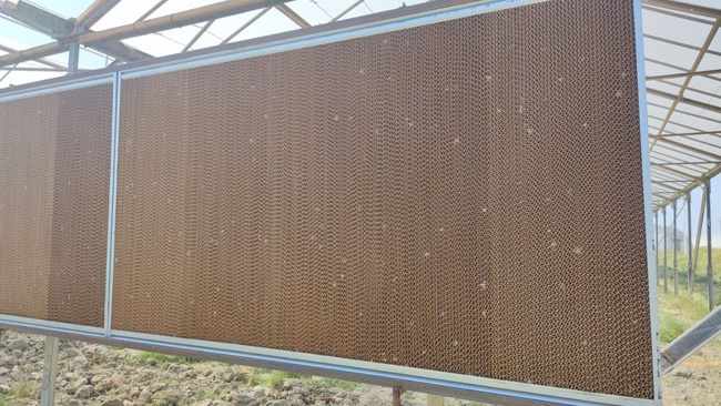 Eko Soğutma için Oluklu Panel