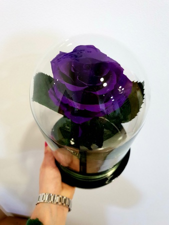 Роза в колбе 28см премиум пурпурный