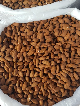 Ядро миндаля