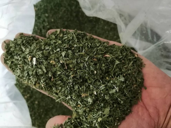 Wholesale: Natural Vegetables