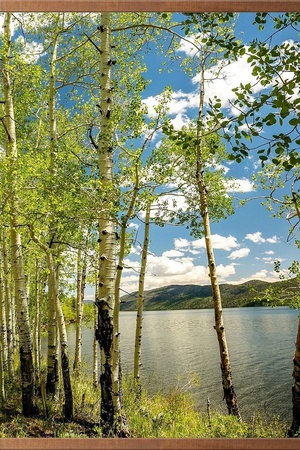 Елена  Денисова