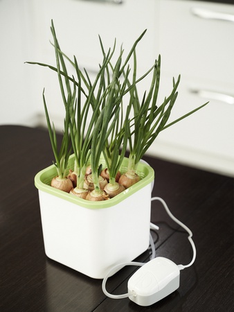 Проращиватель Х1 (Аэросад)