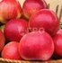 APPLE VARIETY ZHIGULEVSKOE