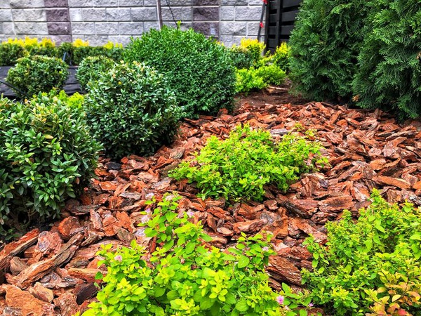 Мульча из коры сосны крупной фракции 6-10 см