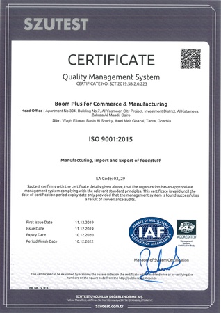 Macaroni spaghetti, 500 gm, Super Q brand, High quality long pasta