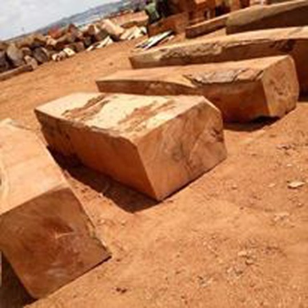 ДЕРЕВЯННЫЕ Бревна СРЕДНЕГО ДИАМЕТРА 80 СМ ИЗ КАМЕРУНА ДОУССИ КОССО ТАЛИ