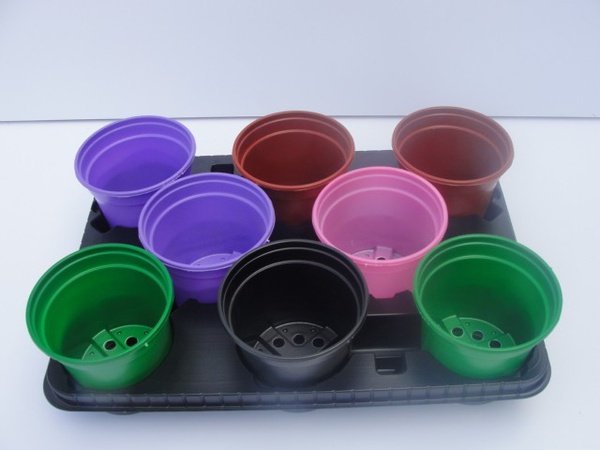 Paletli 8 tencere seti 11 cm