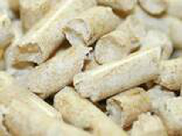 كريات الوقود الصنوبر