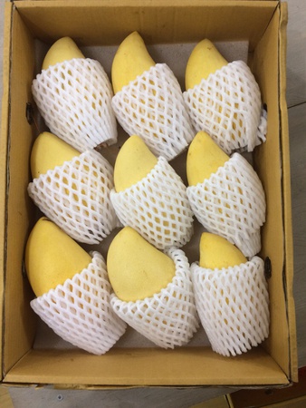 Манго Тайланда Нам Док Май