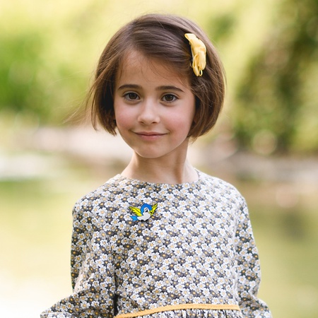 Броши из коллекции Kinder