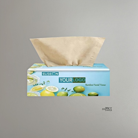 Family Facial Tissue Box Plastic  Mixed Pulp Recycled Pulp Car Refill Tissue OEM Box 13gsm 2ply 20X20cm 100sheets/box 48 boxes per carton