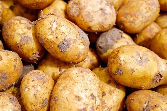 patates