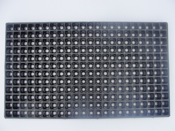 Seedling cassette 264 cells
