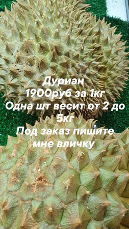 Оптом ягоды, фрукты и овощи