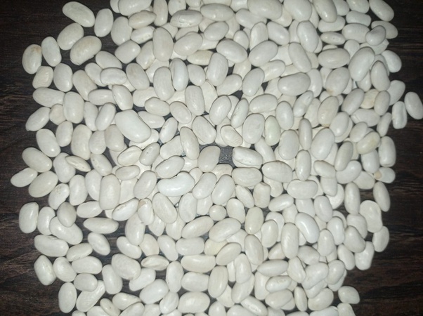 Фасоль Лопатка (Эспада)