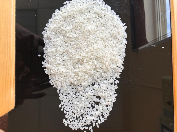 Крупа рисовя