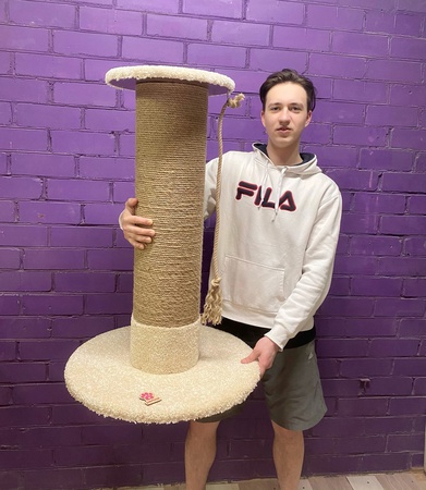 Kedi tırmalama direği