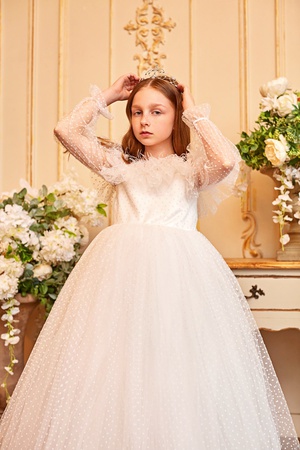 Вечернее Платье с Длинными Рукавами  Stok Kod: PXN 22034