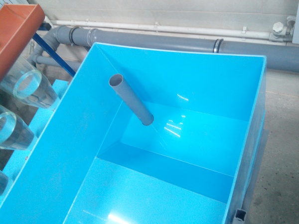 Личиночник-приемник для инкубатора Вейса