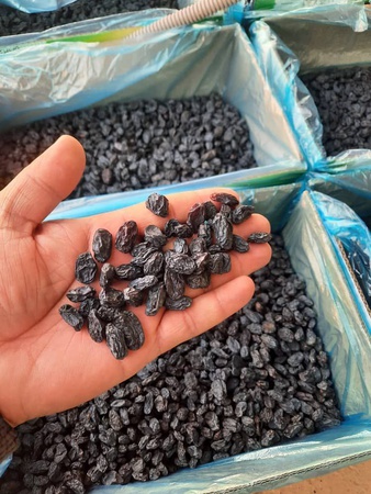 Изюм черный жамбо