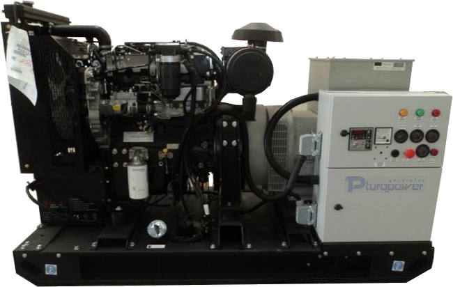 TP-P 165 kVA Perkisn Serisi Dizel Jeneratör Seti