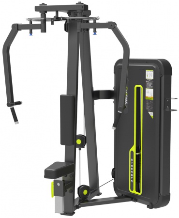 A3033 Грудь и задняя дельта.