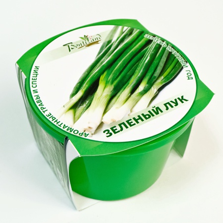 Растения в банках