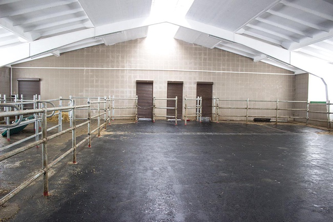 Маты резиновые (коврики) для коров, крупного рогатого скота - КРС