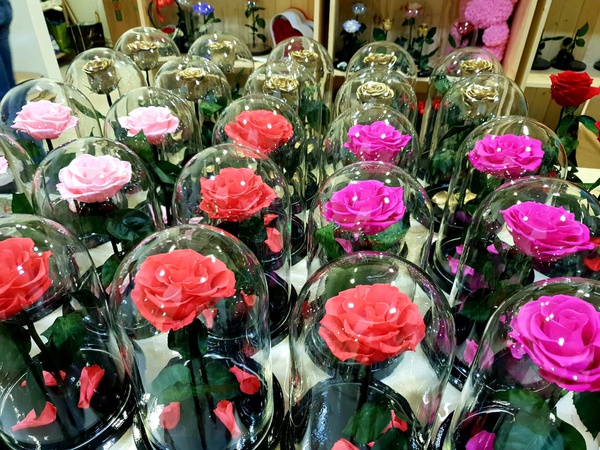 Роза в колбе оптом ассортимент