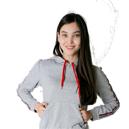 Модель №1017