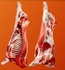 Carcasses, Half-carcasses, Beef