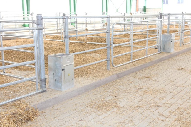 Group heated cattle drinker