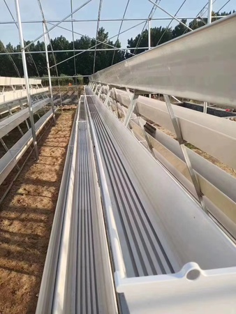 Agricultural greenhouse hydroponic system for growing strawberries and more