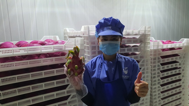 Замороженный Драгонфрут. Экзотические фрукты с заводов OLMISH