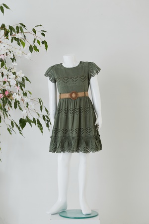 Yarım Kollu Dantel Elbise