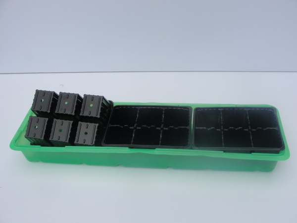 دفيئة صغيرة لعتبة النافذة مع 3 إدخالات