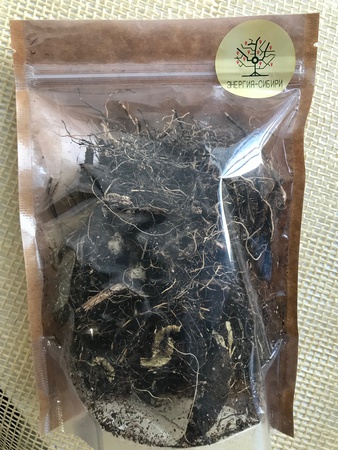 Левзея сафлоровидная  (Leuzea carthamoides) маралий корень