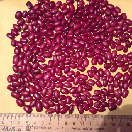 Kırmızı fasulye sınıfı &quot;Domates&quot;