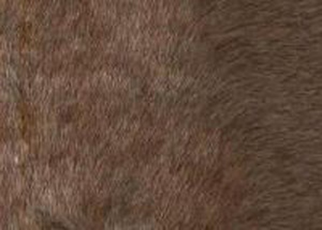 Kürk Kısa saçlı kahverengi