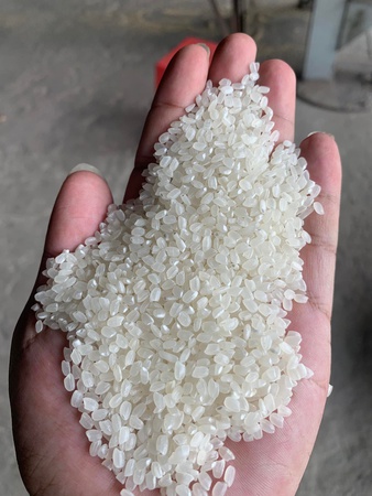 Premium Kalite Calrose pirinci/Suşi pirinci/Japonica Vietnam'dan En İyi Tedarikçi