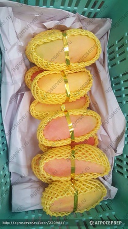 Манго Тайланда Нам Док Май