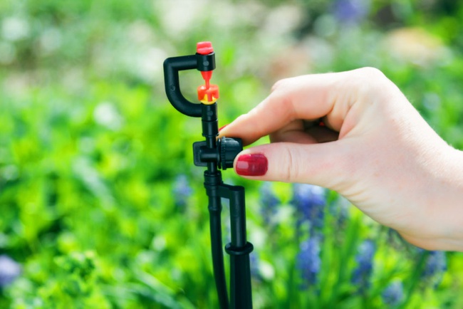 Система дождевания «Расцветайка»